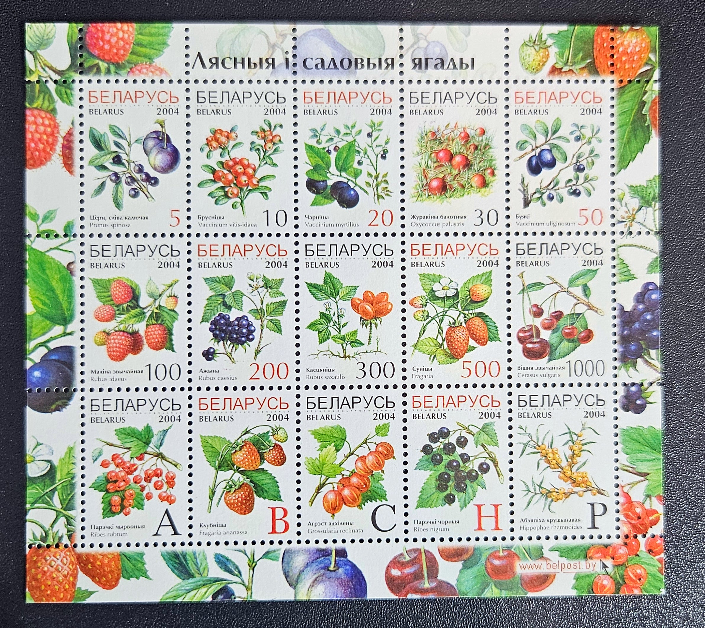 Belarus stamps