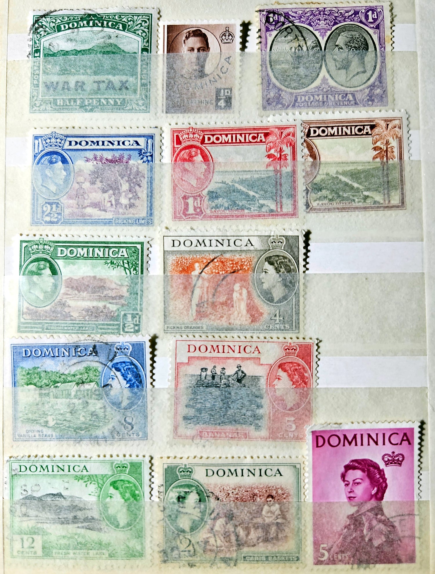 Collection of Dominica stamps with various designs and colors.