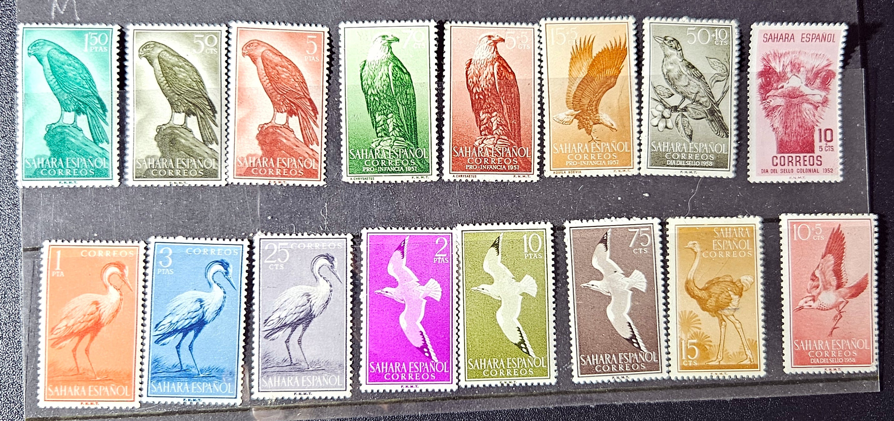 Collection of vintage stamps with various designs on a display album.