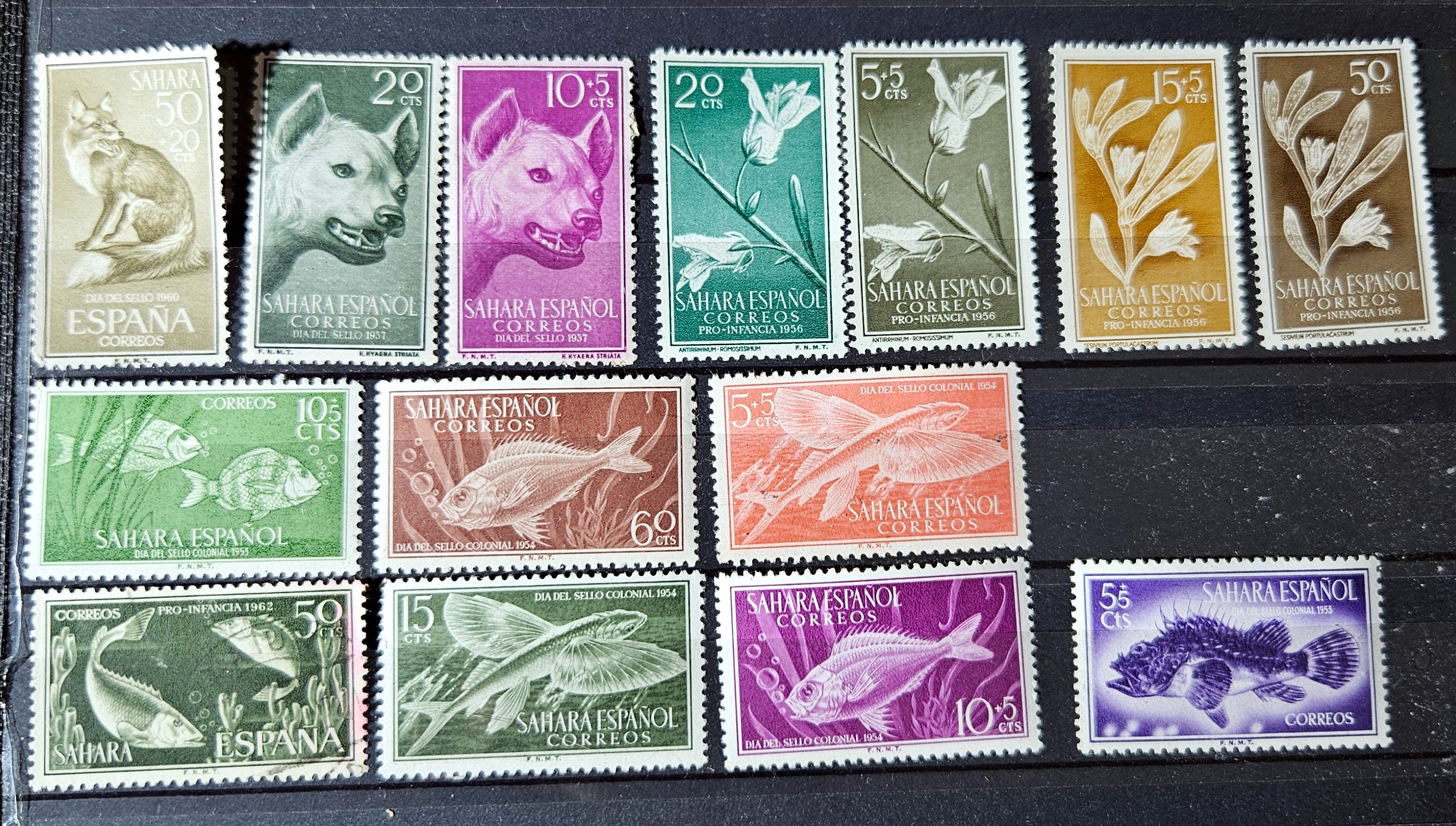 Collection of vintage stamps from Spain and Sahara Espagne on a black background