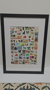 dog stamp video