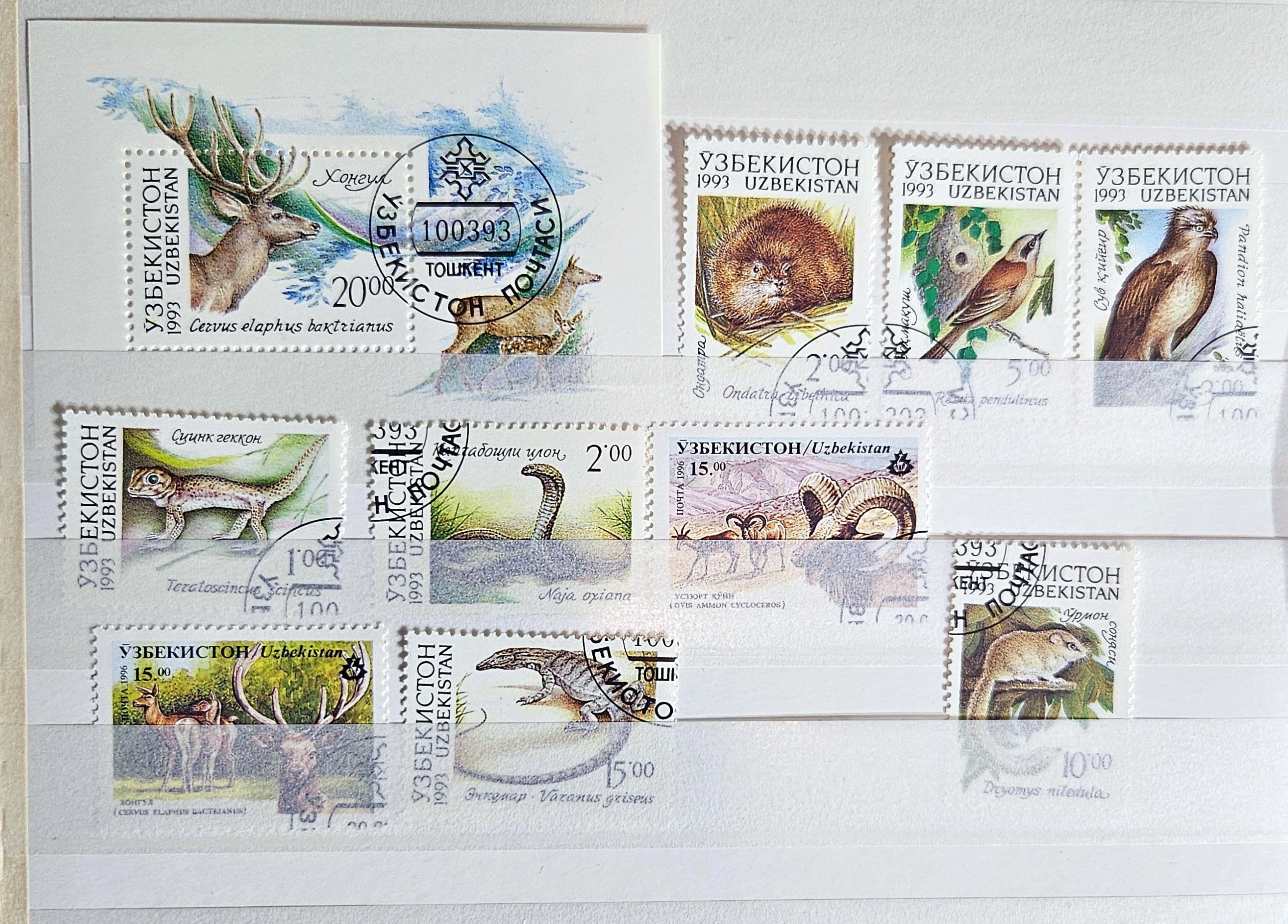 Uzbekistan stamps