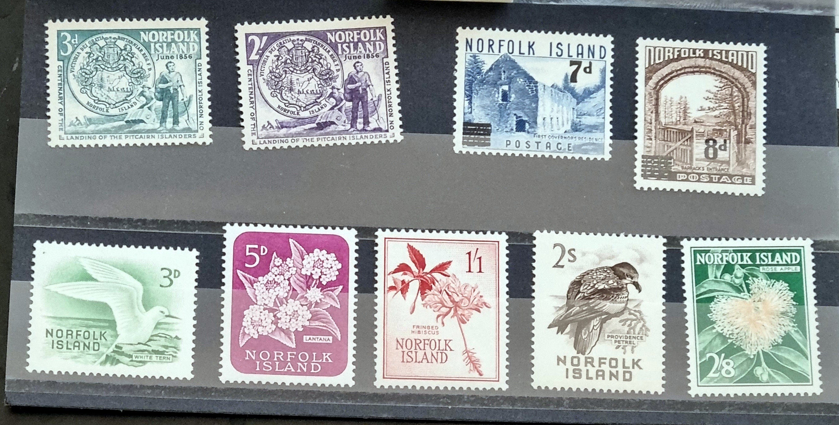 New Zealand stamps - Beautiful Vintage to Modern all different