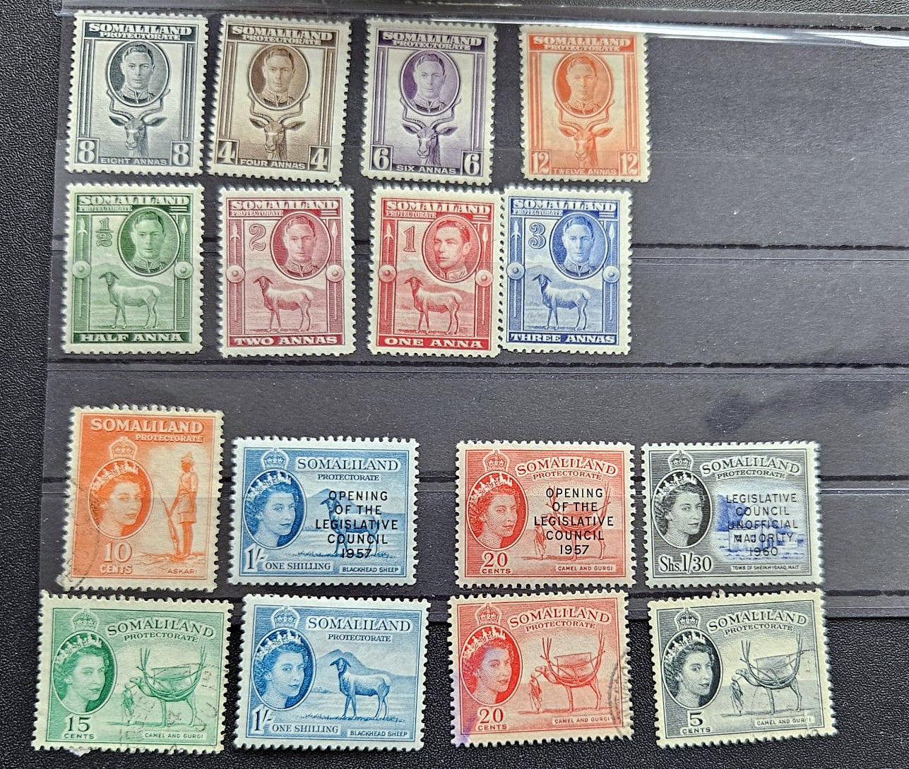 A set of twelve vintage Somaliland postage stamps arranged in three rows on a dark wood background. The stamps feature various colors including green, blue, orange, red, and purple, depicting Queen Elizabeth II and Somali wildlife.