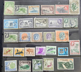 A collection of vintage Nyasaland postage stamps displayed on a black protective plastic sleeve. The stamps feature various designs, including portraits of Queen Elizabeth II, landscapes, animals like a buffalo and elephant, and vehicles such as an airplane and a lorry, with different colors including green, blue, orange, purple, and red.