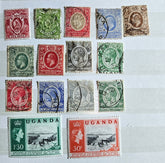A collection of British Commonwealth Uganda stamps from various monarchs displayed on a surface.