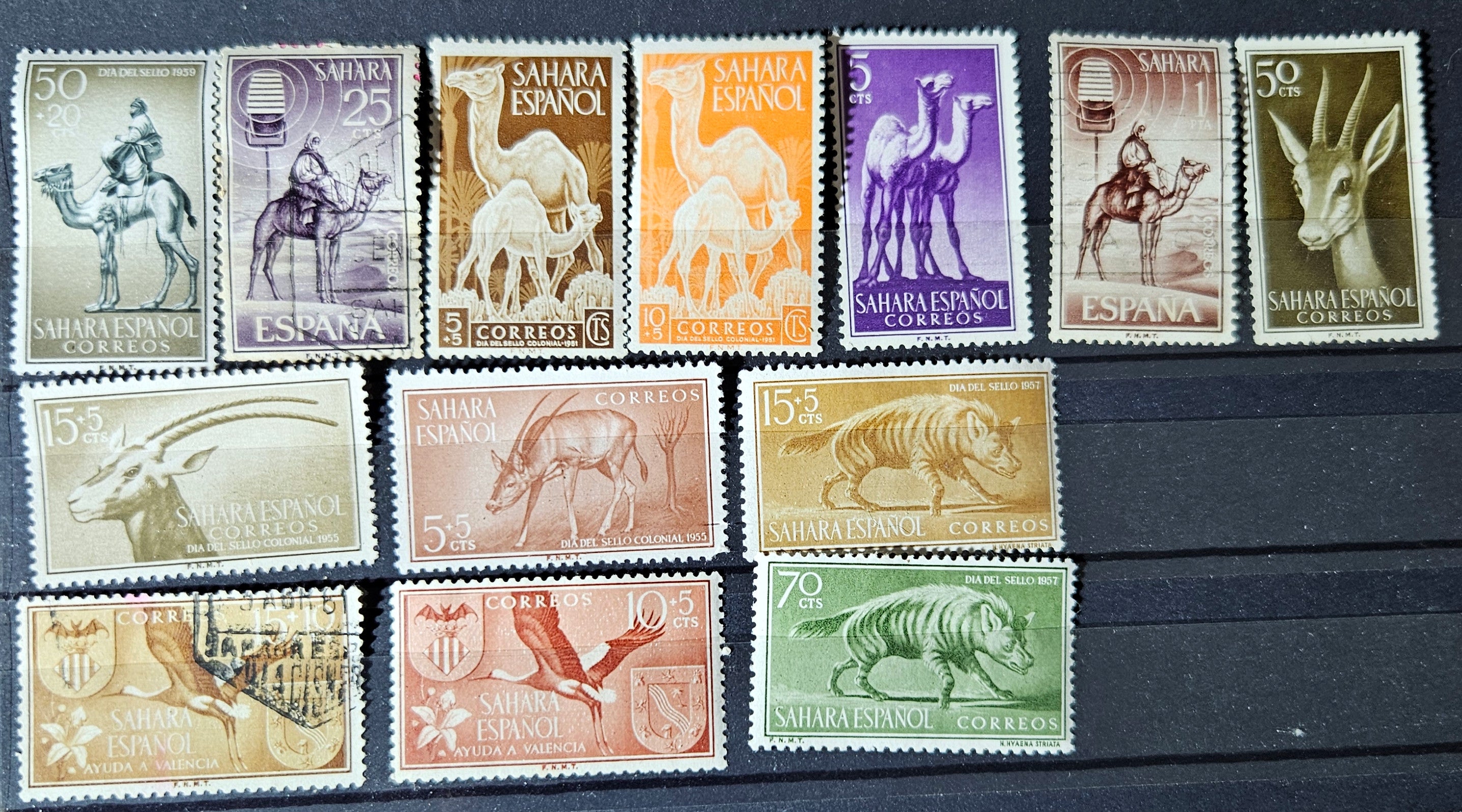 Collection of Spanish Sahara stamps featuring animals and landscapes on a black background.