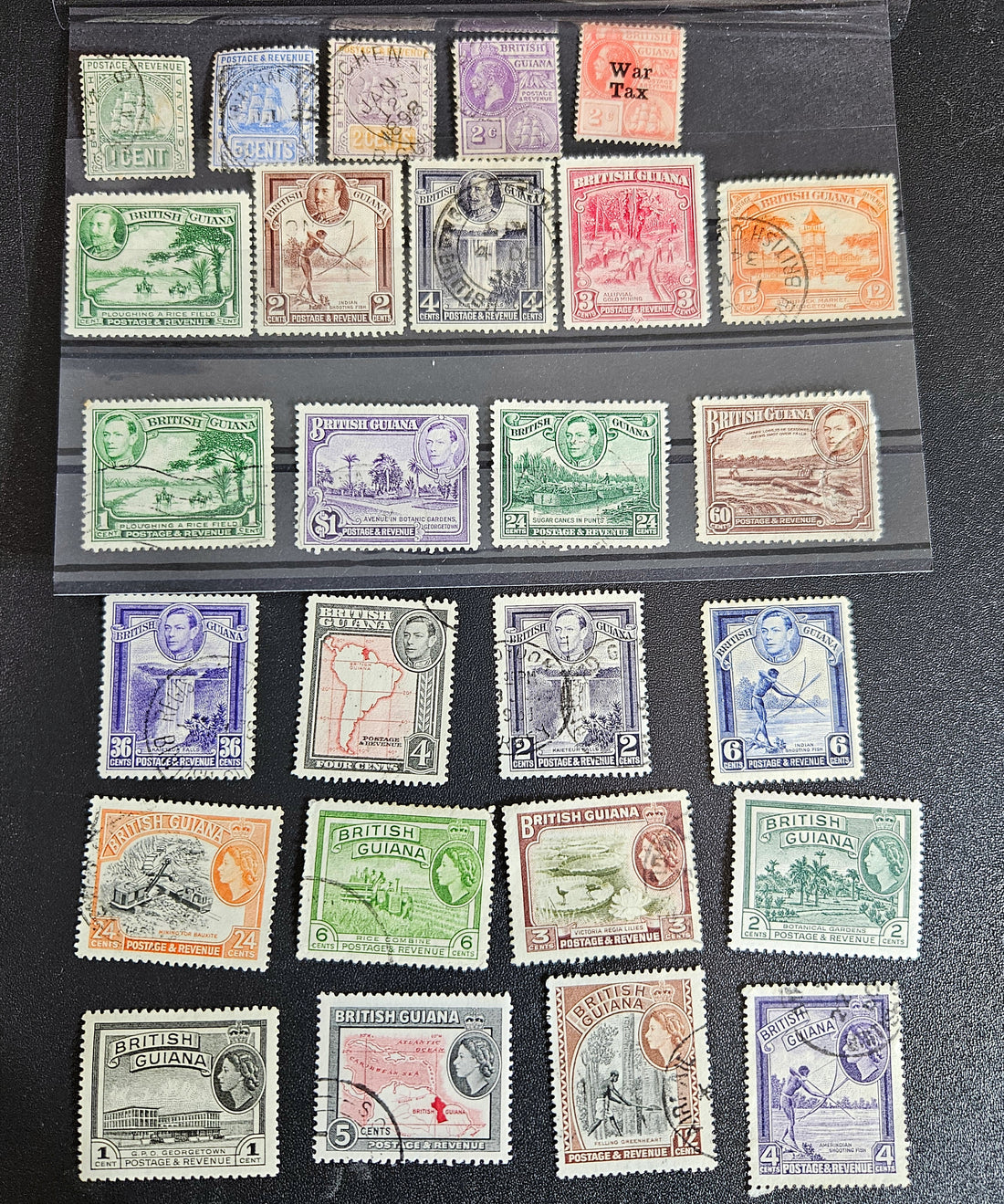 A collection of vintage British Guyana stamps from the reign of King George V, featuring various designs including portraits and imagery of local flora and fauna.