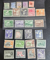 A collection of vintage British Guyana stamps from the reign of King George V, featuring various designs including portraits and imagery of local flora and fauna.
