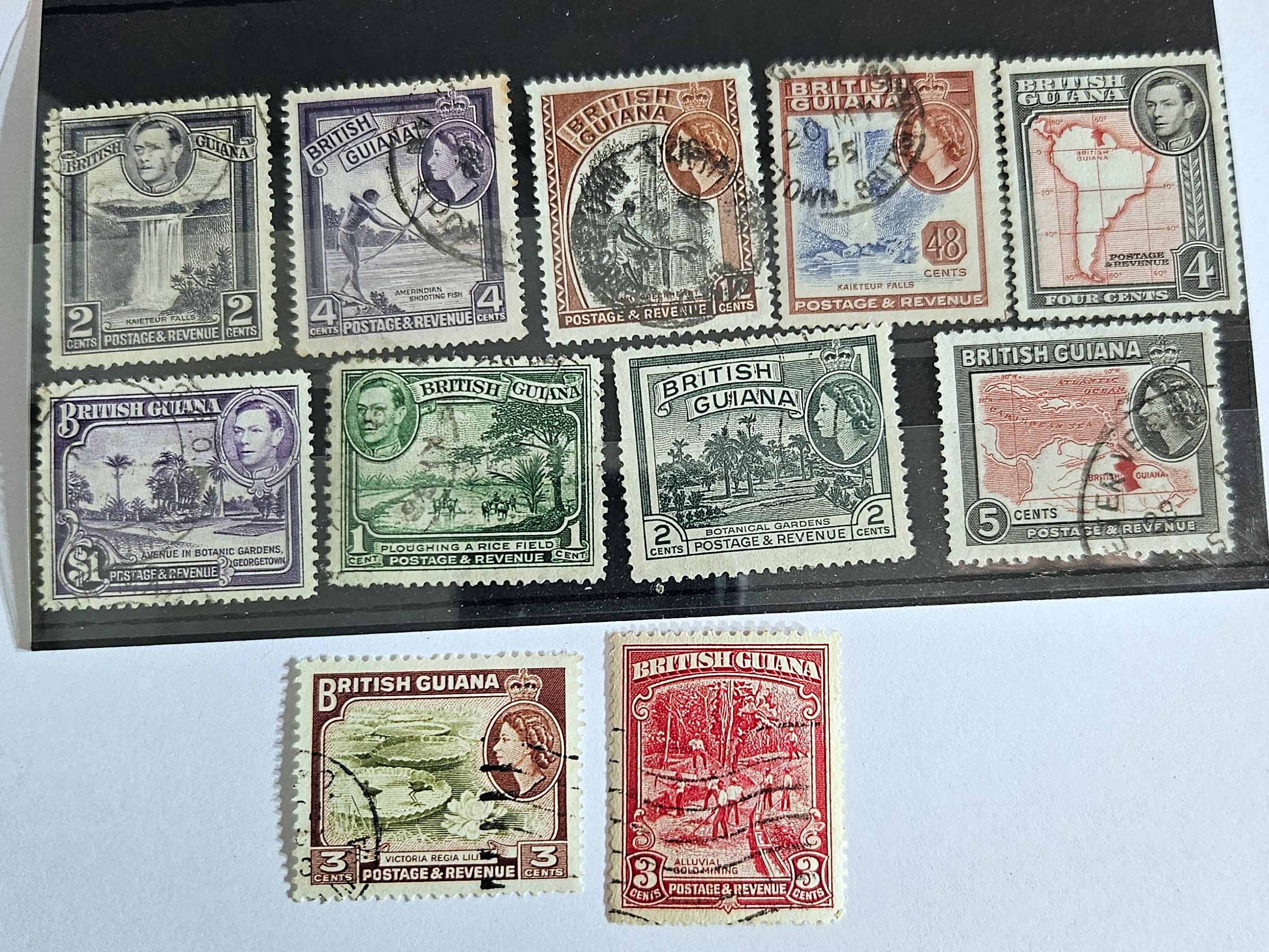 A collection of vintage British Guyana stamps from the reign of King George V, featuring various designs including portraits and imagery of local flora and fauna.