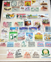 A collection of vintage Pakistan stamps from various periods, showing different designs and denominations, displayed on a glass surface.