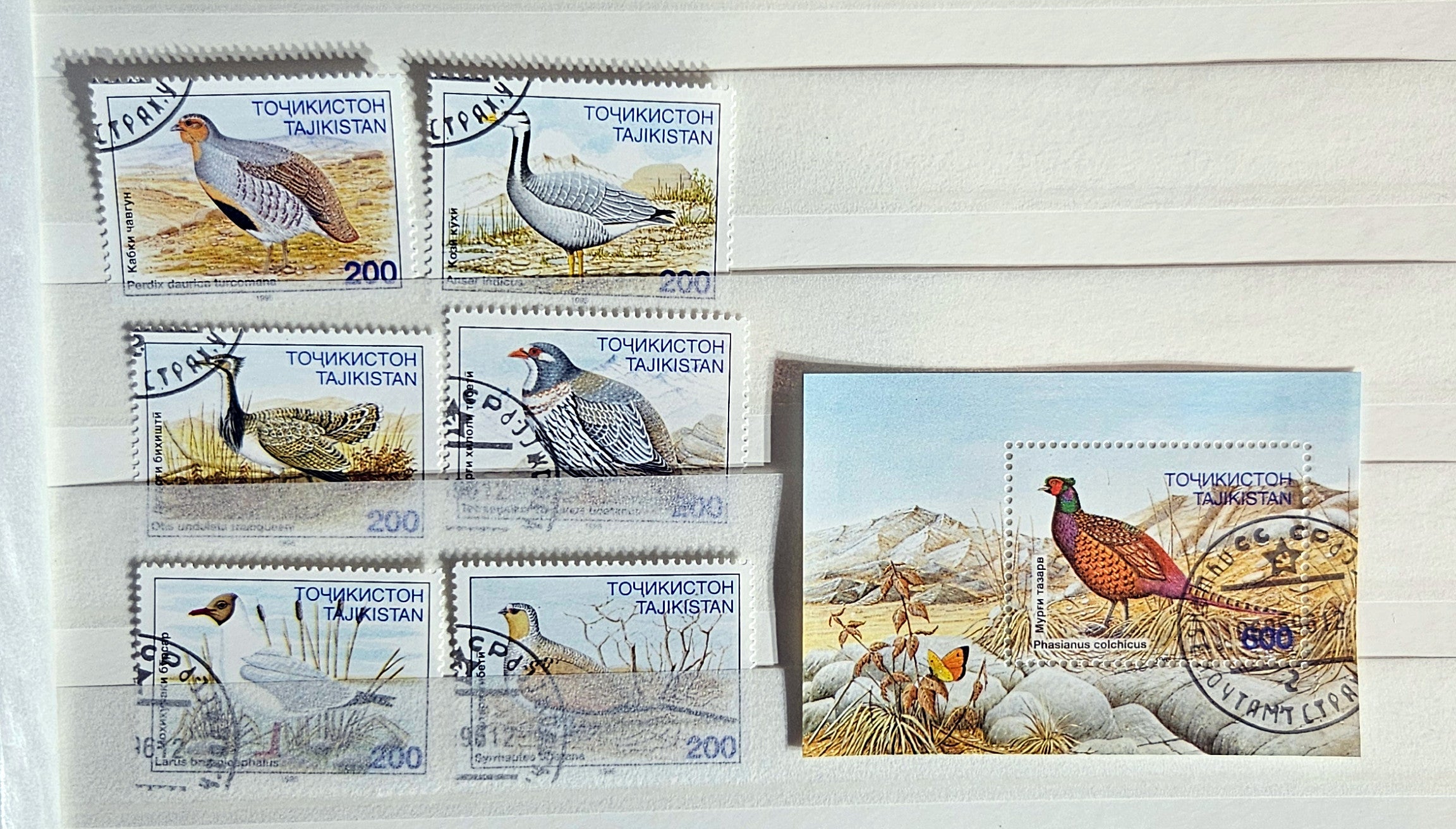Tajikistan stamps