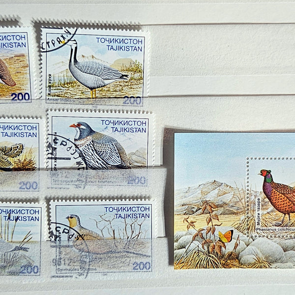 Tajikistan Stamps