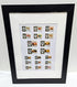 Framed collection of Umm Al Quwain stamps on a white background