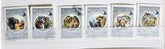 Uzbekistan stamps