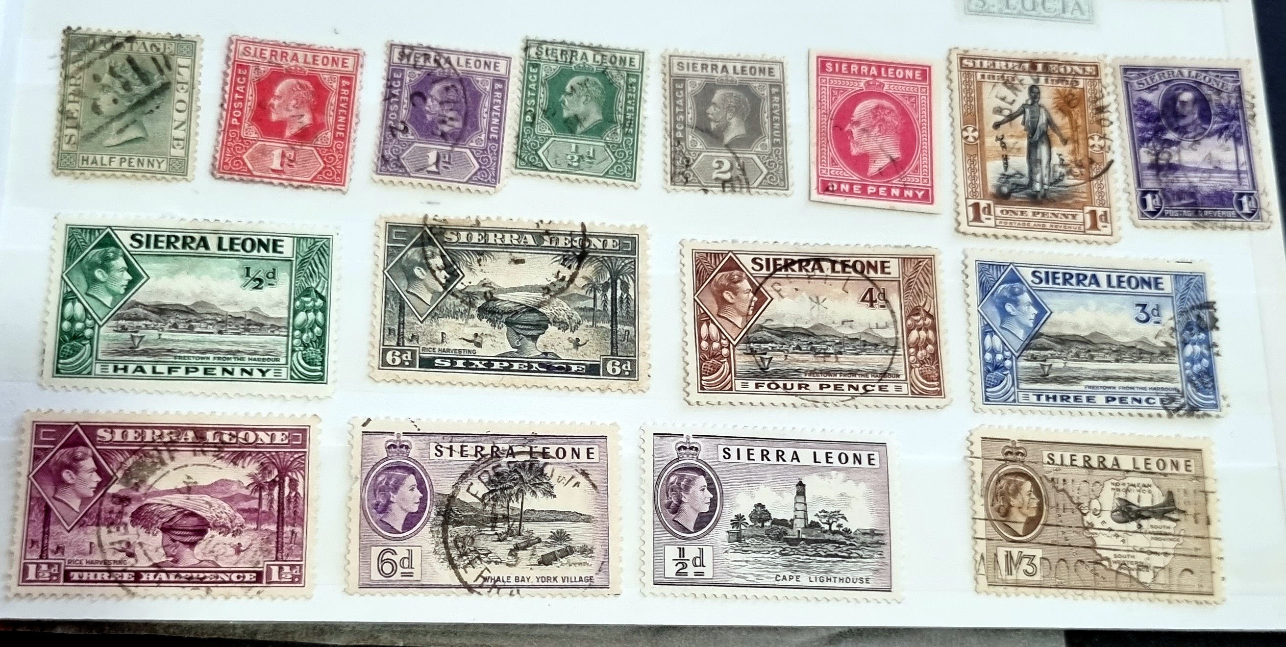 A collection of vintage Sierra Leone stamps featuring various designs and colors, arranged in no specific order on a white background.