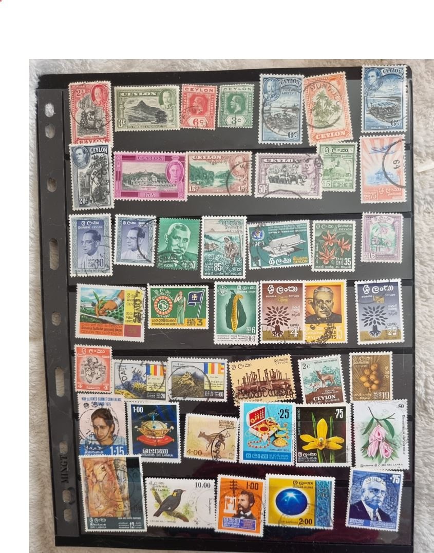 A collection of various Ceylonese postage stamps displayed in a row, showcasing different designs and colors.